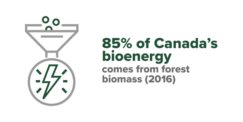 Canada’s Bioeconomy: Transformation & Innovation In Mitigating Climate ...